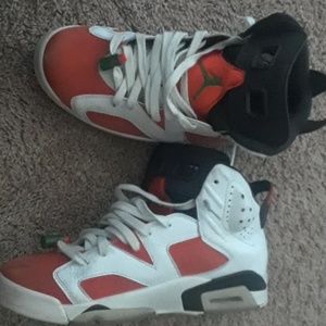 Gatorade 6s Jordans